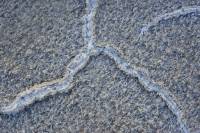 Dépôts de sel dans la Vallée de la Mort  - détail (Death Valley NP, Californie, USA))